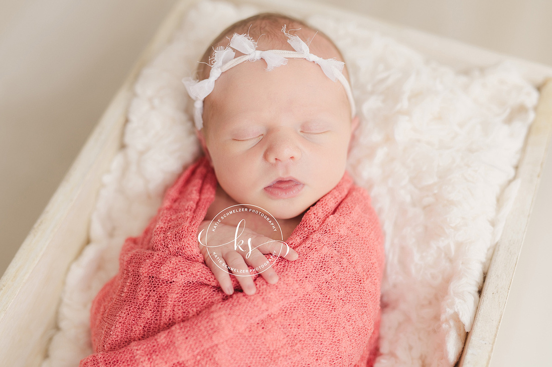 IA Newborn baby girl photographed by Iowa Newborn Photographer  KS Photography