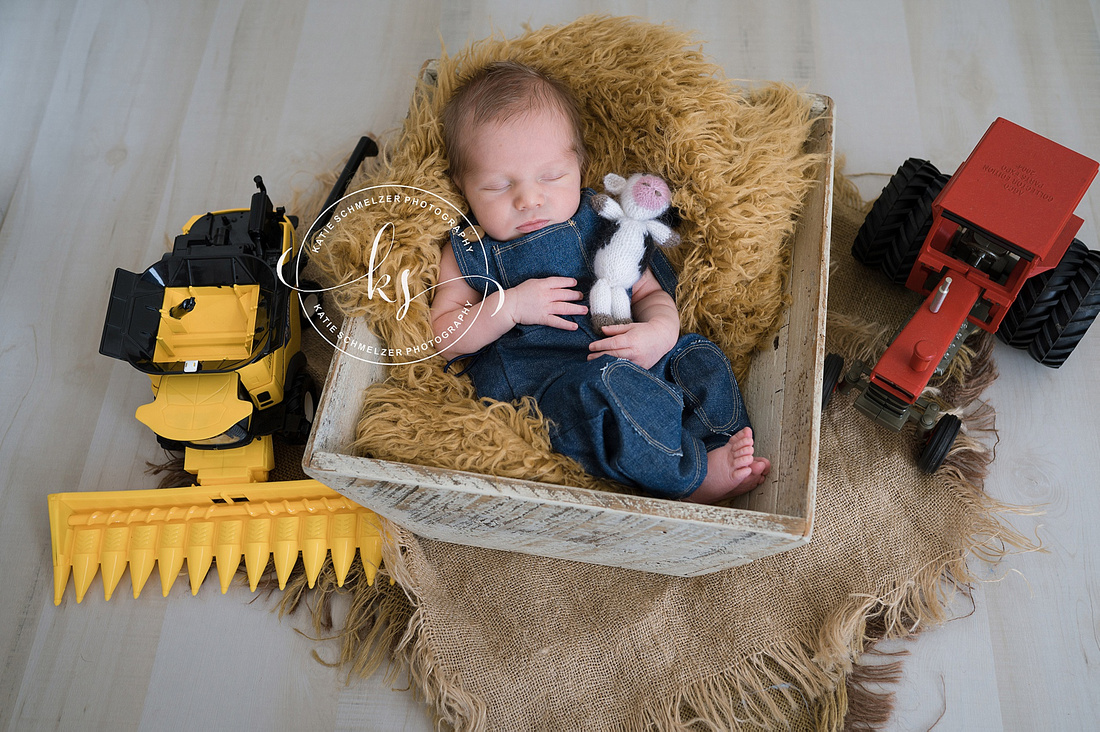 Adorable Newborn Studio Session photographed by Iowa Newborn photographer KS Photography