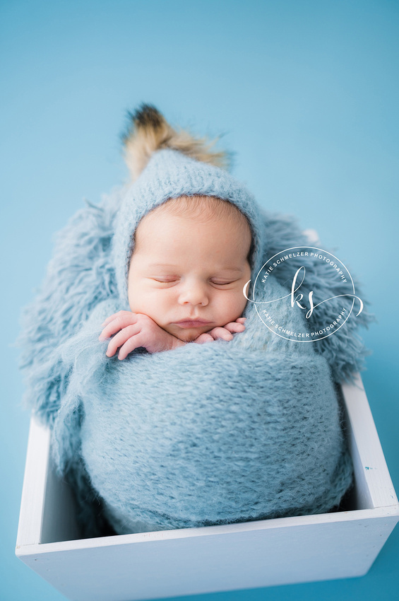 Newborn + Family Studio Session photographed by Iowa Newborn photographer  KS Photography