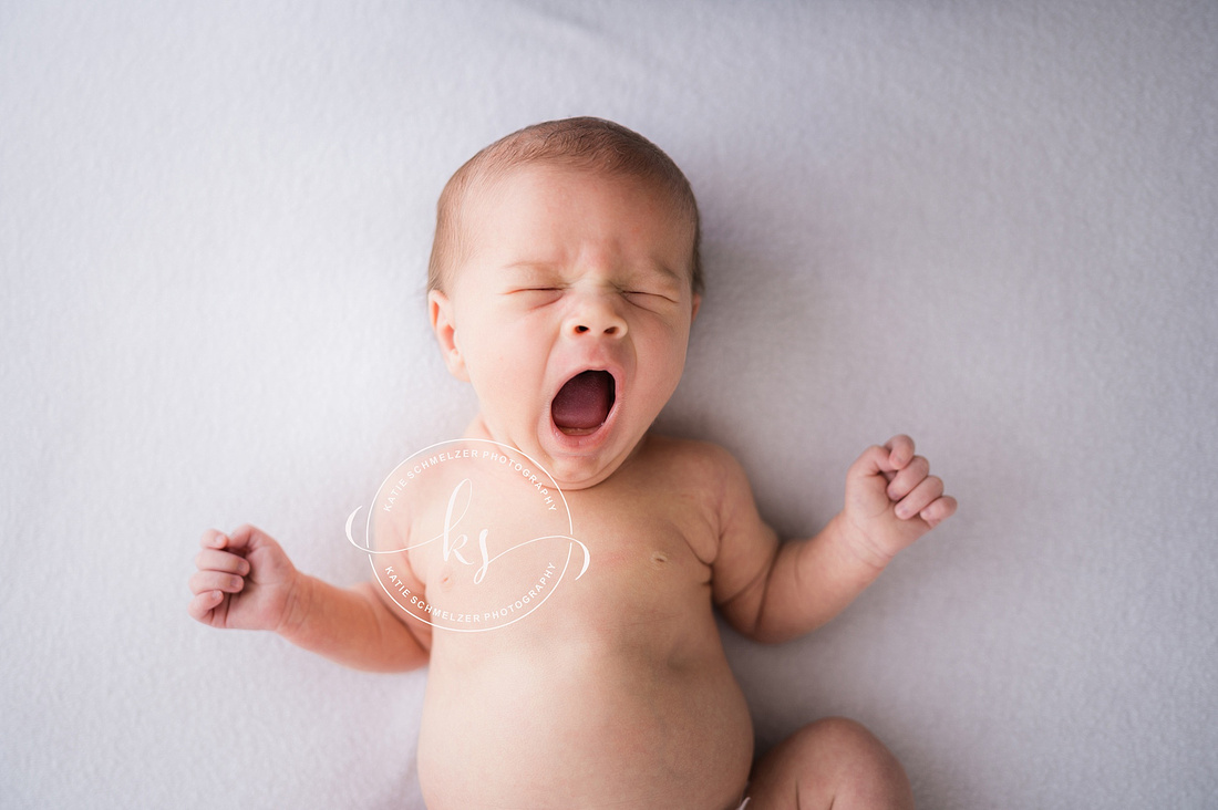 Newborn + Family Studio Session photographed by Iowa Newborn photographer  KS Photography