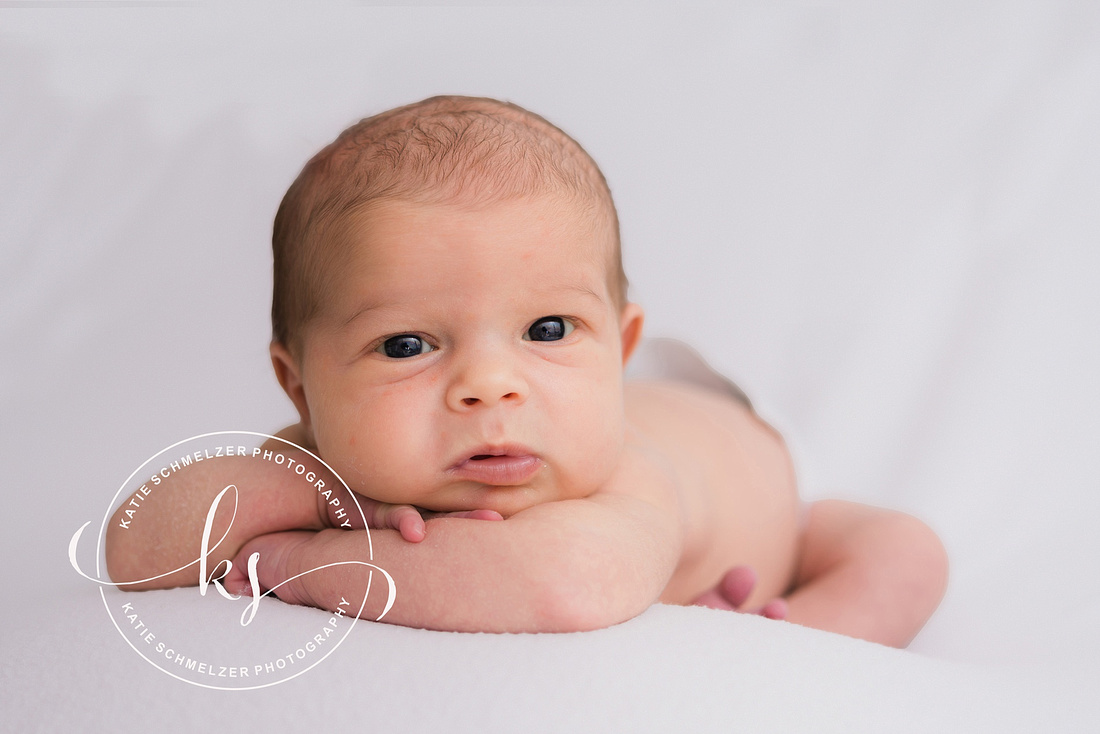 Newborn + Family Studio Session photographed by Iowa Newborn photographer  KS Photography