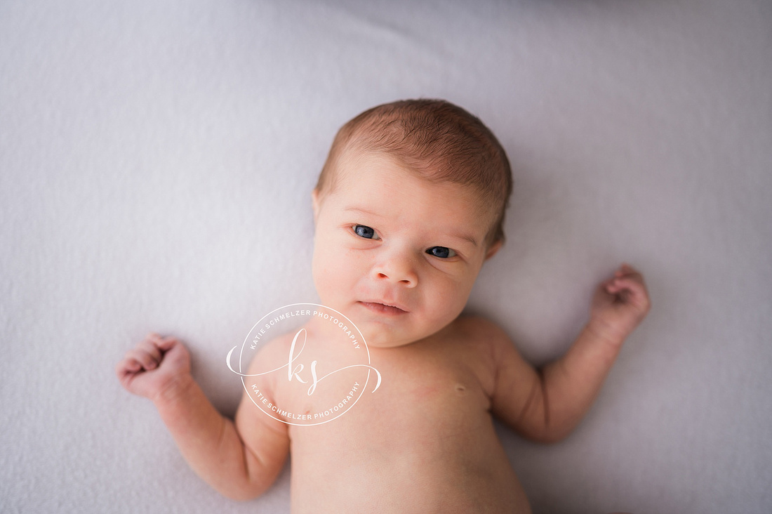 Newborn + Family Studio Session photographed by Iowa Newborn photographer  KS Photography