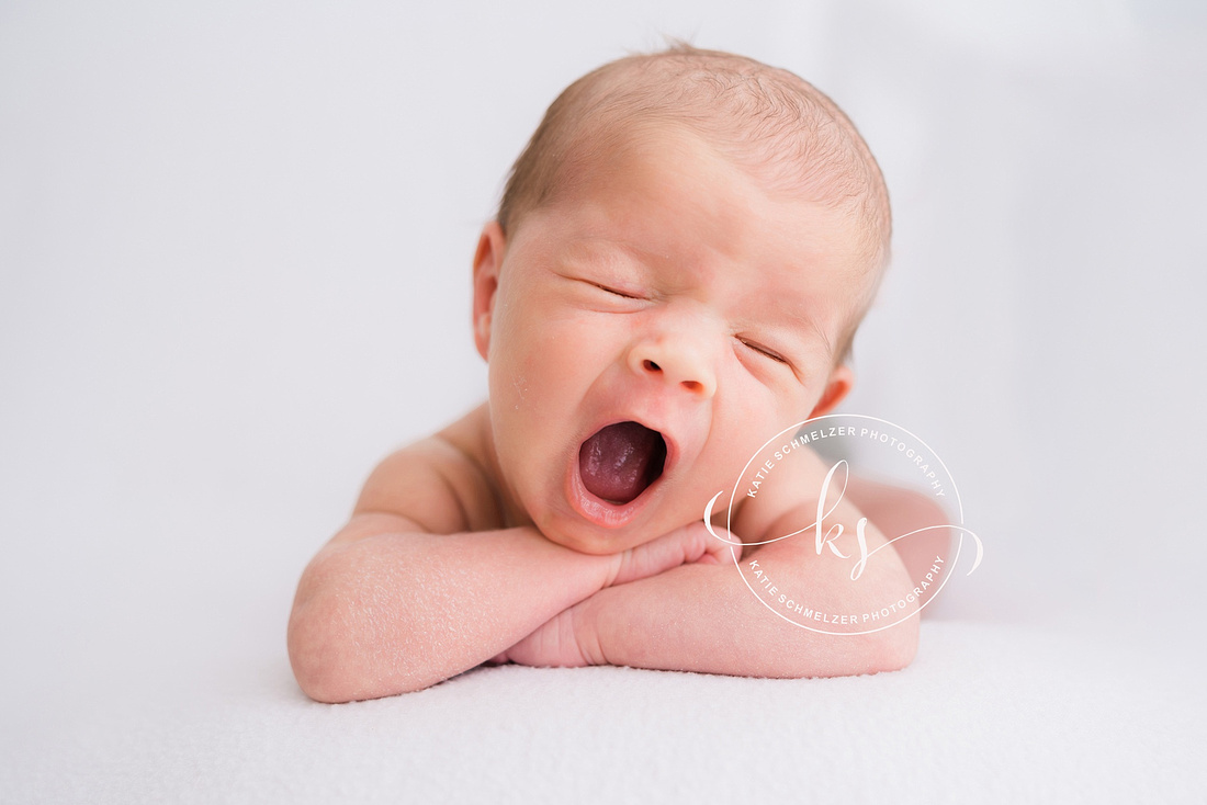 Newborn + Family Studio Session photographed by Iowa Newborn photographer  KS Photography