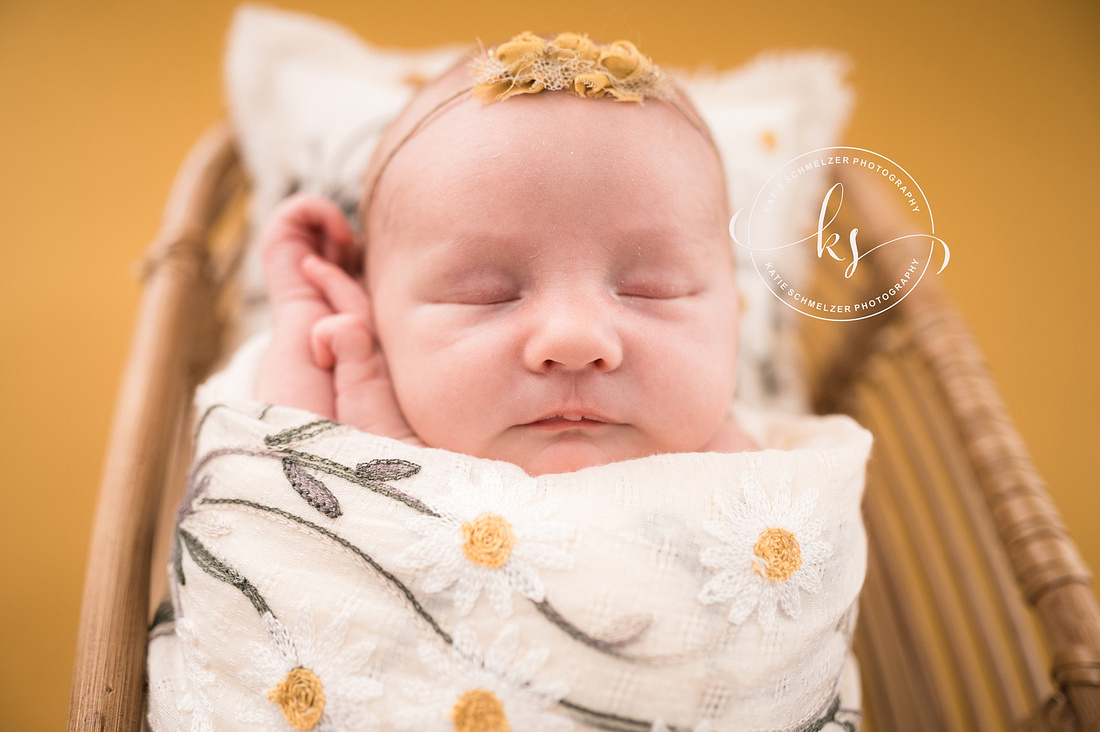 Newborn + Family Session in Iowa Studio photographed by Iowa Family Photographer KS Photography