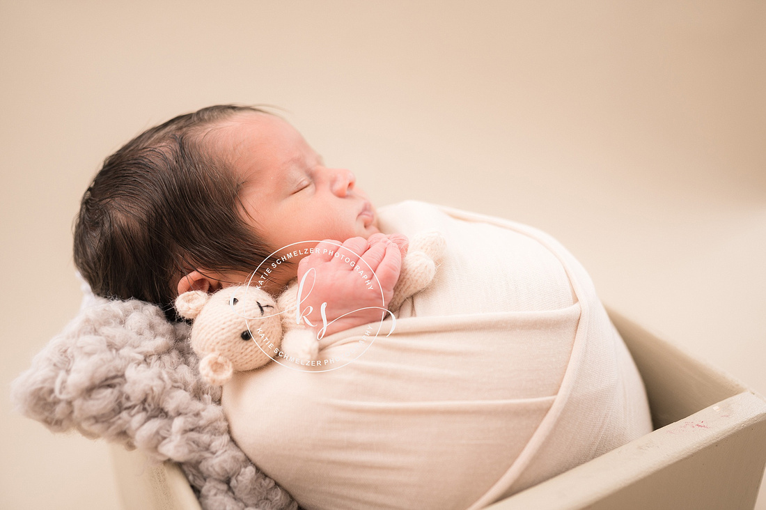 Studio Newborn Boy Portraits photographed by Iowa Newborn Photographer KS Photography