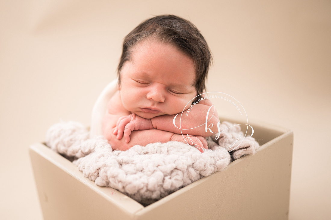 Studio Newborn Boy Portraits photographed by Iowa Newborn Photographer KS Photography