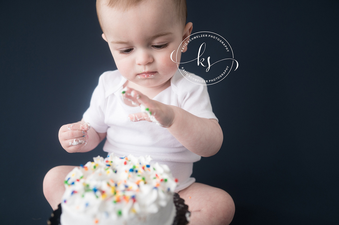 1 Year Milestone + Cake Smash Session photographed by Iowa Milestone Photographer KS Photography