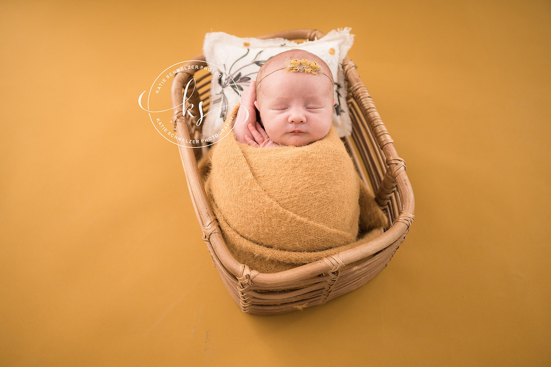 Newborn + Family Session in Iowa Studio photographed by Iowa Family Photographer KS Photography