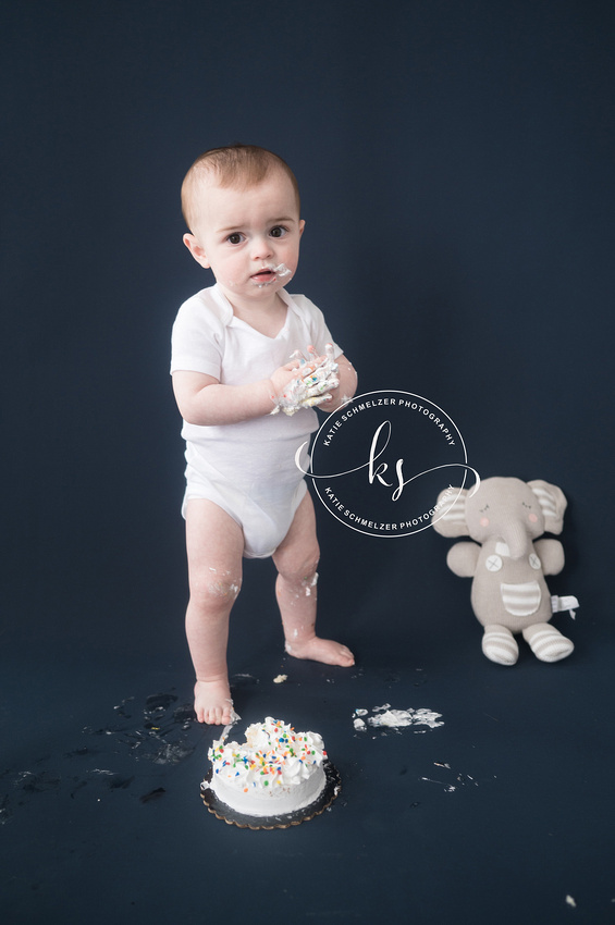 1 Year Milestone + Cake Smash Session photographed by Iowa Milestone Photographer KS Photography