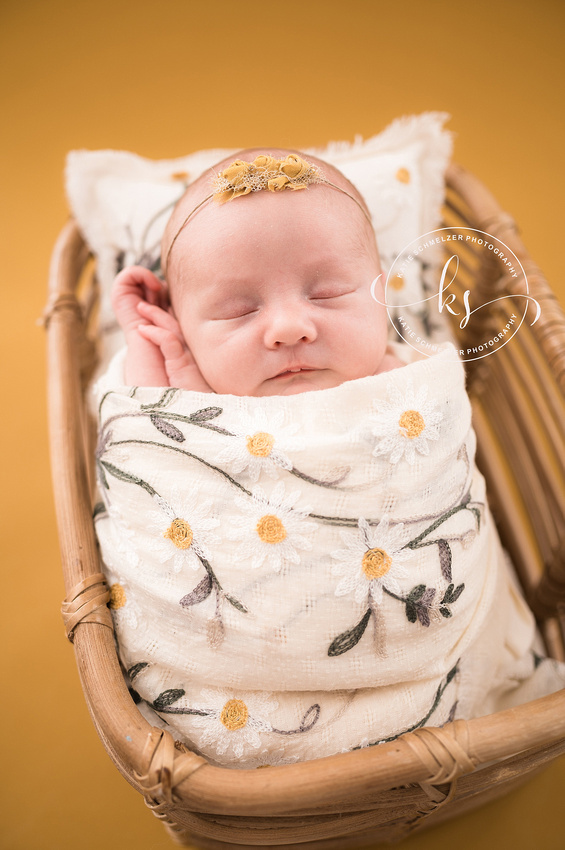 Newborn + Family Session in Iowa Studio photographed by Iowa Family Photographer KS Photography