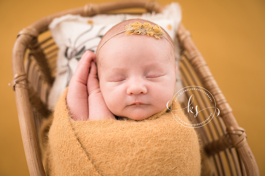 Newborn + Family Session in Iowa Studio photographed by Iowa Family Photographer KS Photography