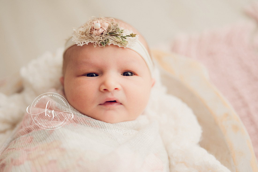 Iowa baby girl Newborn session photographed by IA Newborn Photographer KS Photography