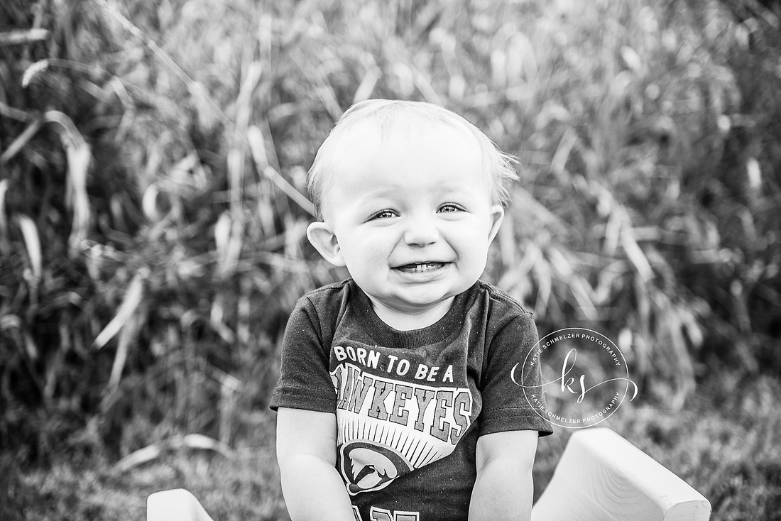 Cookie session for one year old with sunset family portraits by Iowa family photographer KS Photography