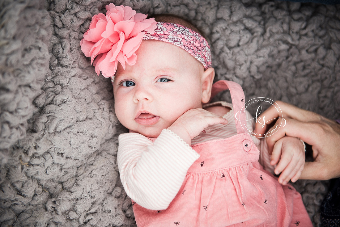 Iowa family portraits with family dogs and baby girl by Tiffin IA family photographer KS Photography