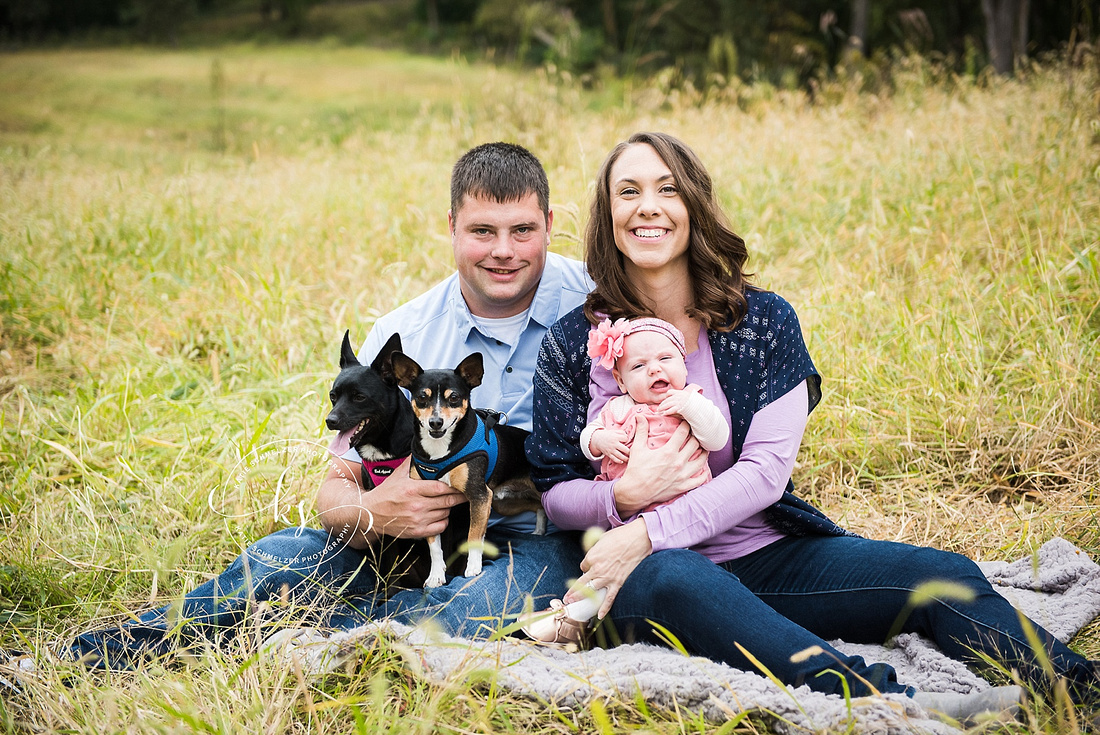 Iowa family portraits with family dogs and baby girl by Tiffin IA family photographer KS Photography