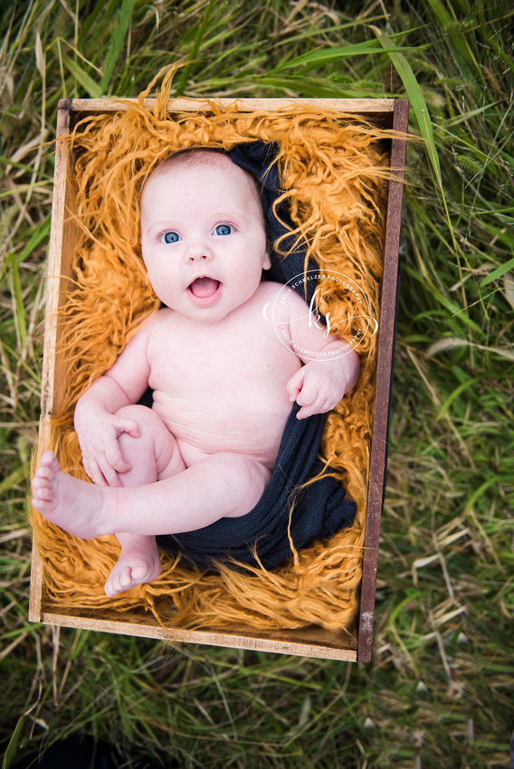 Iowa family portraits with family dogs and baby girl by Tiffin IA family photographer KS Photography