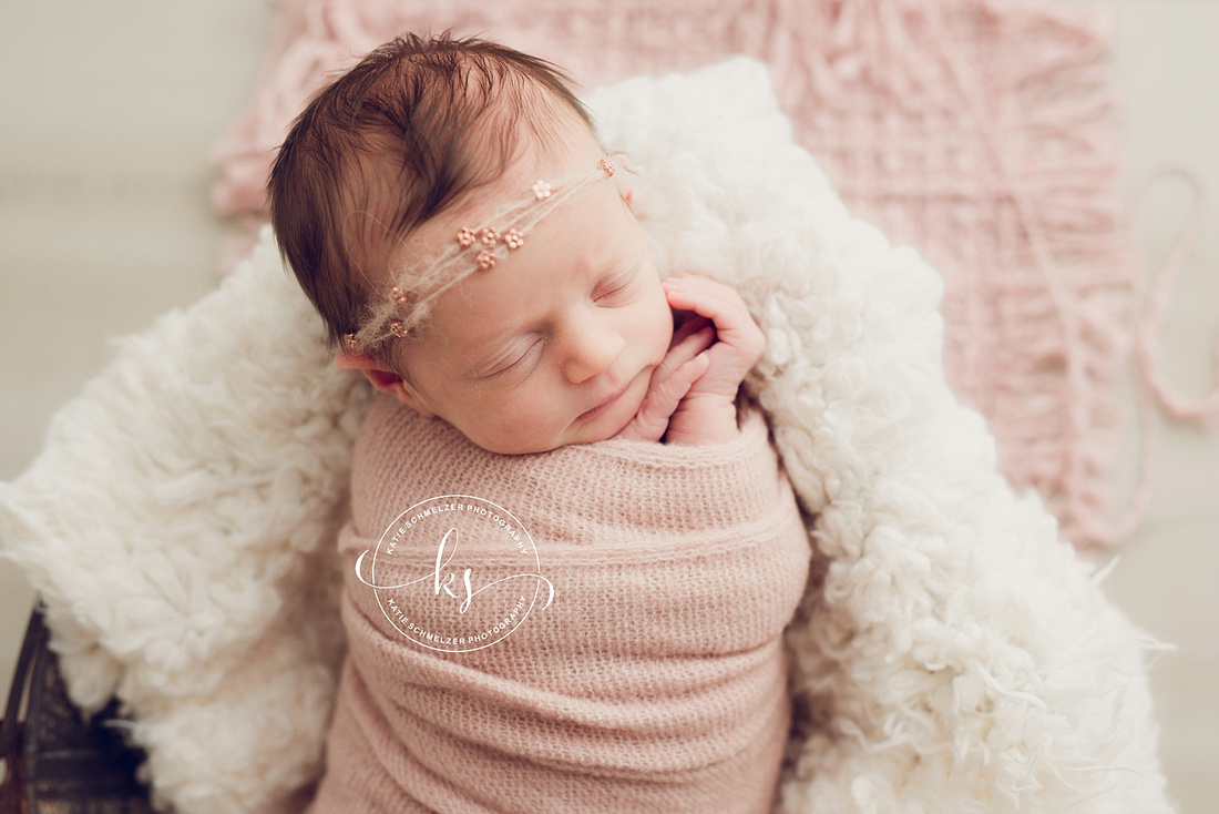 Iowa Twin Newborn and Family Session photographed by IA Newborn Photographer KS Photography