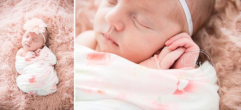 Iowa Newborn Session in Tiffin IA studio with KS Photography and baby girl