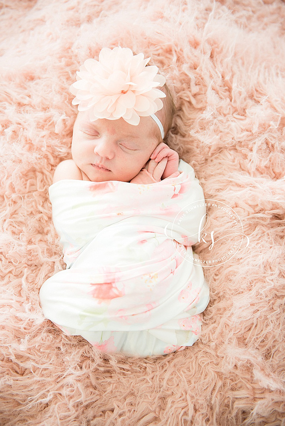 Iowa Newborn Session in Tiffin IA studio with KS Photography and baby girl