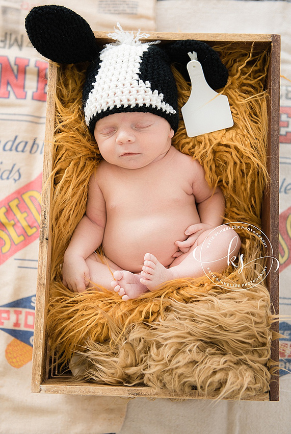 Studio Newborn Portraits in Downtown Tiffin IA with KS photography for baby boy and big brother