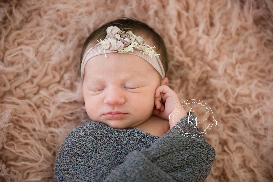 Iowa studio newborn session for baby girl with two big brothers by KS Photography