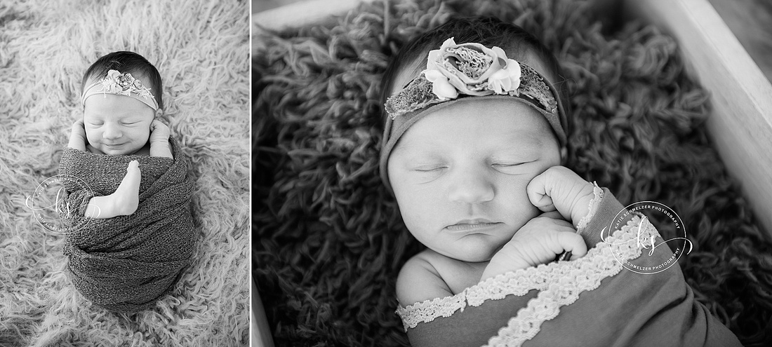 Iowa studio newborn session for baby girl with two big brothers by KS Photography