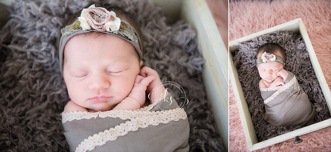 Iowa studio newborn session for baby girl with two big brothers by KS Photography