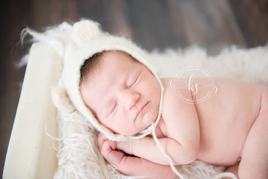 Iowa studio newborn session for baby girl with two big brothers by KS Photography