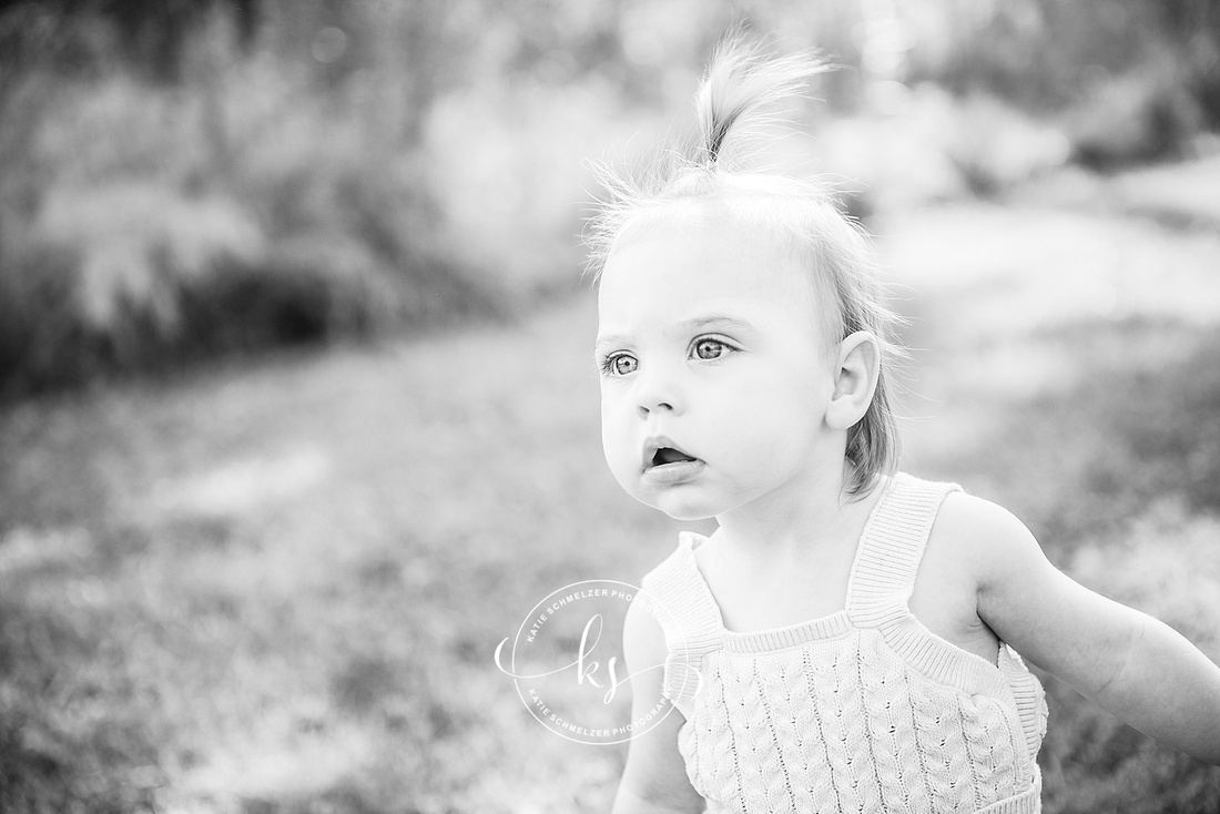 Milestone Portraits in Tiffin IA with family portrait photographer KS Photography