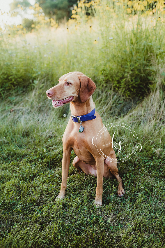 Family portraits at the Res in Coralville IA with KS Photography