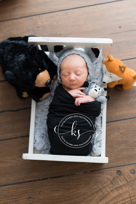 Iowa Newborn + Family Photographer of Newborn baby boy photographed by KS Photography