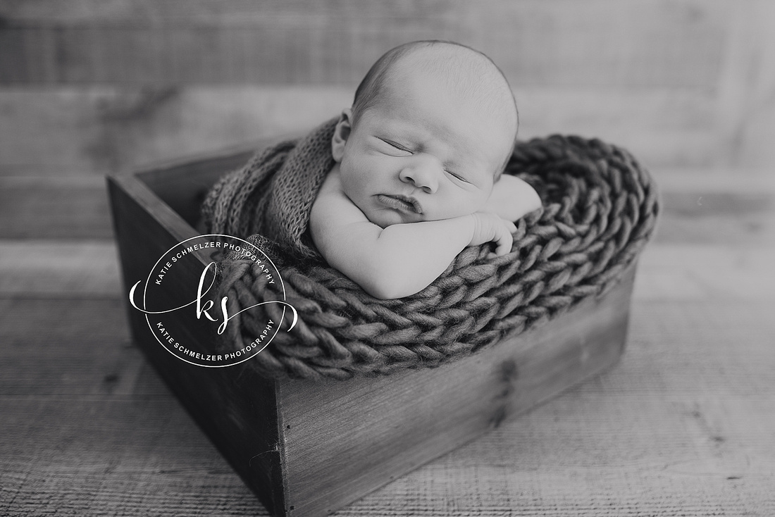 Studio Newborn session with Tiffin IA newborn portrait photographer KS Photography