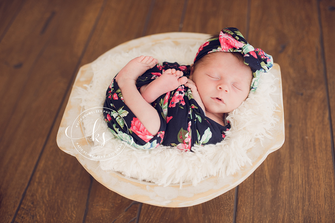 Studio newborn portraits for baby girl in Tiffin IA studio with KS Photography