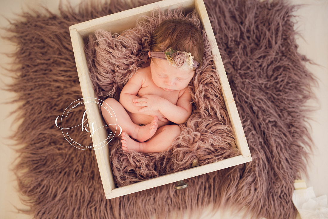 Studio newborn portraits for baby girl in Tiffin IA studio with KS Photography