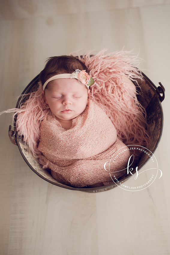 Studio newborn portraits for baby girl in Tiffin IA studio with KS Photography