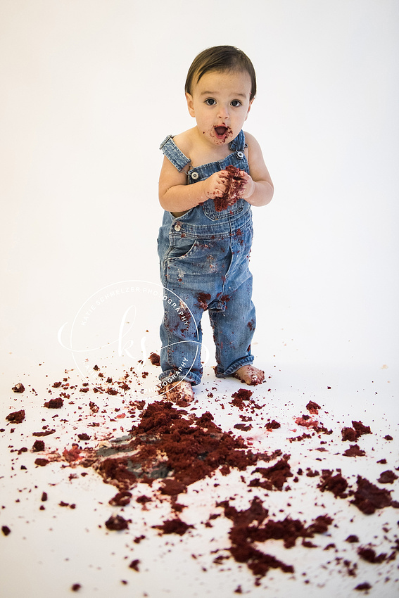 First Birthday Milestone Portraits for little boy in Tiffin IA with KS Photography