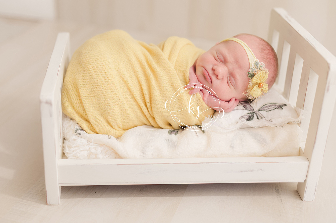 IA Newborn baby girl photographed by Iowa Newborn Photographer  KS Photography