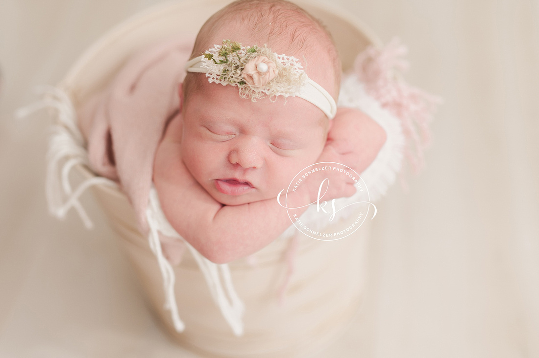 IA Newborn baby girl photographed by Iowa Newborn Photographer  KS Photography