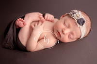 Iowa Newborn Photographer KS Photography_2778