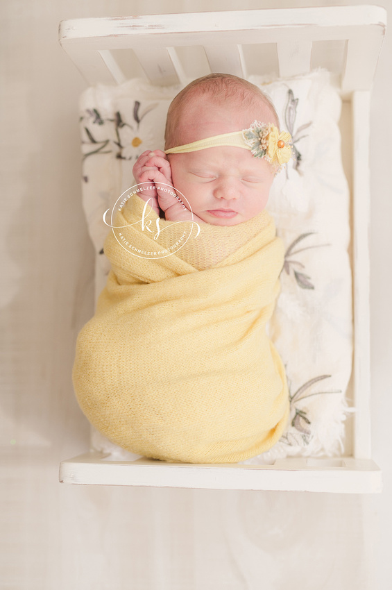 IA Newborn baby girl photographed by Iowa Newborn Photographer  KS Photography