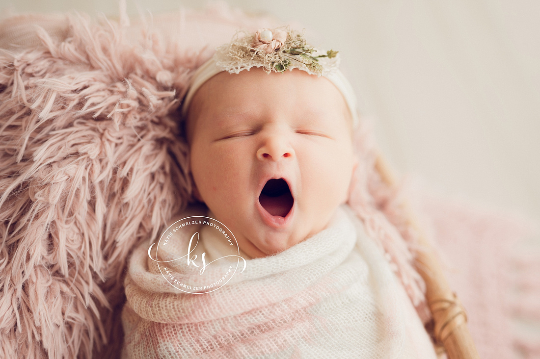 Iowa baby girl Newborn session photographed by IA Newborn Photographer KS Photography