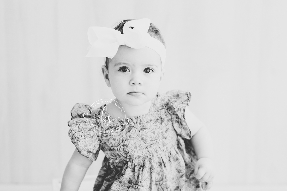 Iowa Little Girl One Year Milestone Session photographed by IA Milestone Photographer KS Photography