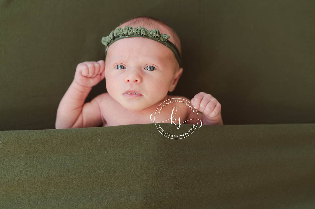 IA Newborn baby girl photographed by Iowa Newborn Photographer  KS Photography