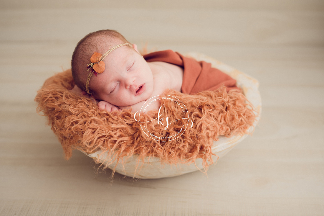 Precious Newborn Girl + Family session photographed by IA newborn Photographer KS Photography